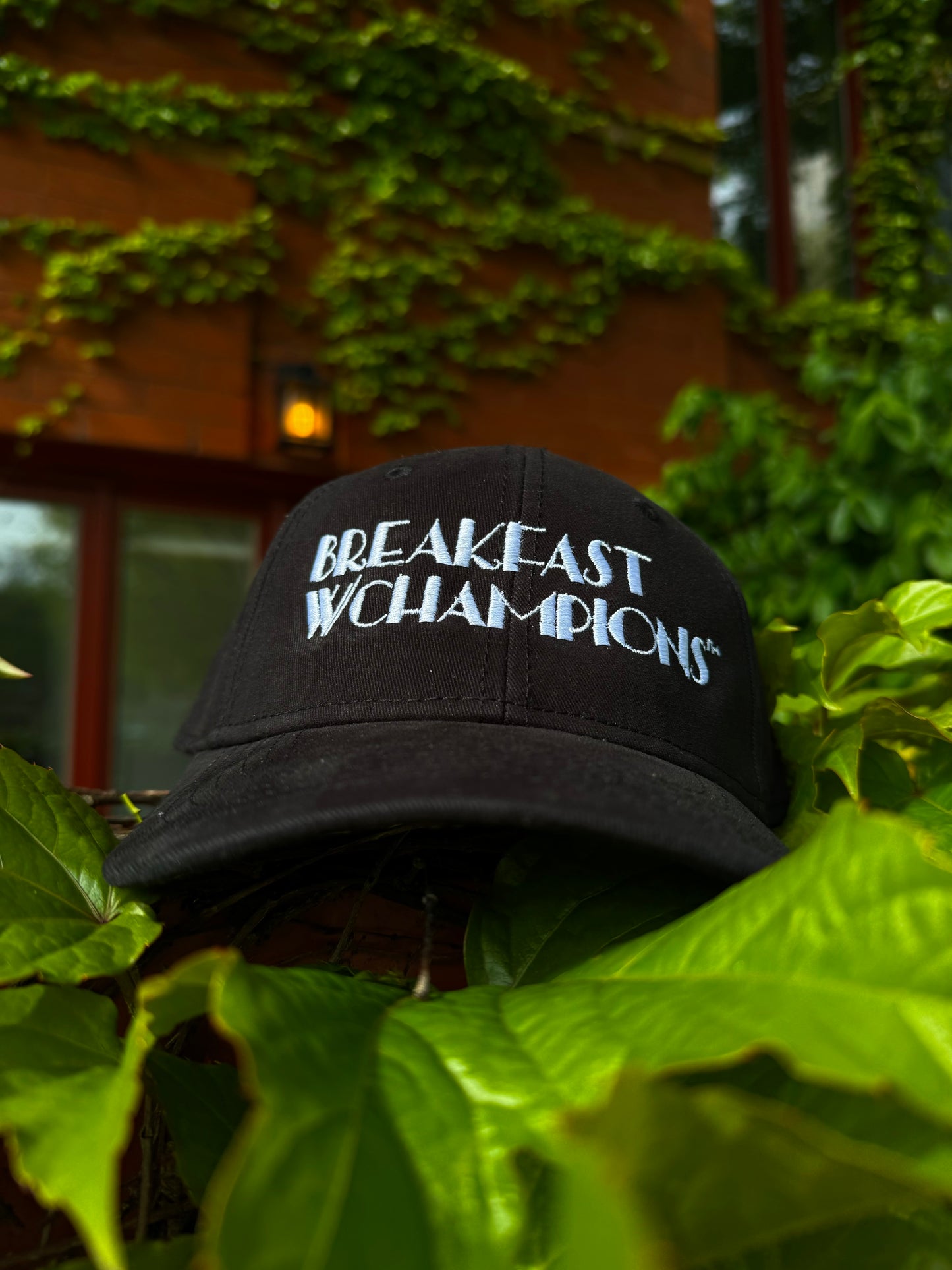 BREAKFAST WITH CHAMPIONS "ARTS & ENTERTAINMENT" CAP (BLK/WHITE)